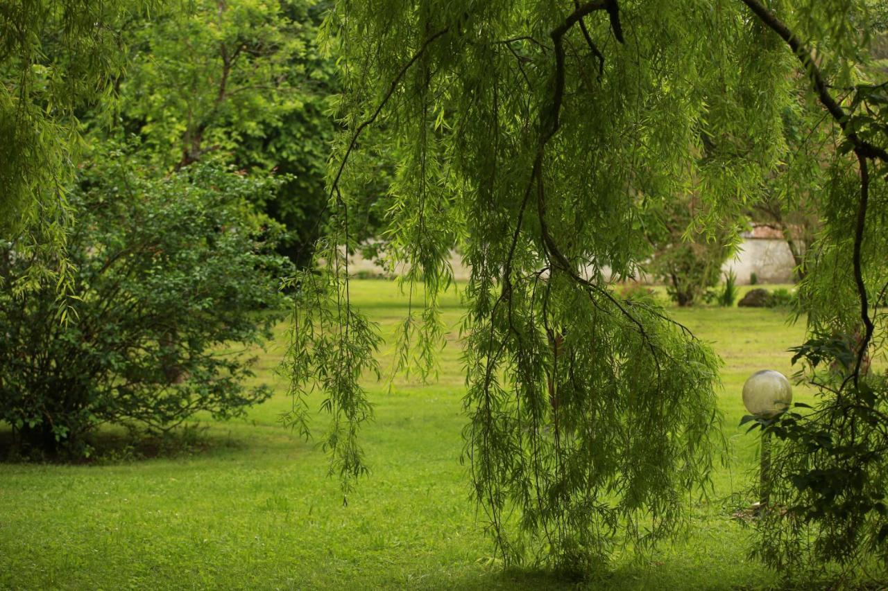 Gouaix Les Reves De Flamboin Bed & Breakfast エクステリア 写真